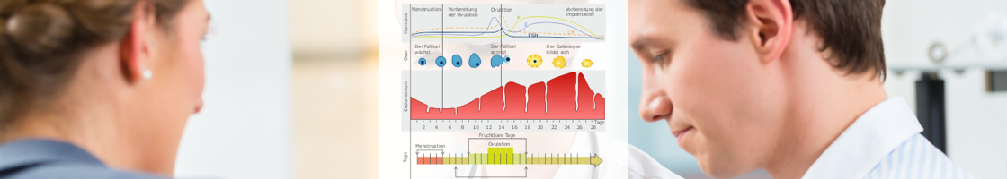 egone_spotlight_endocrinology_e02.png