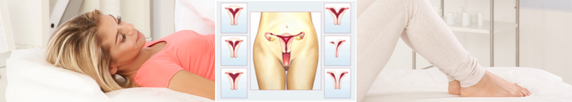 egone_spotlight_gynecology_g16.png